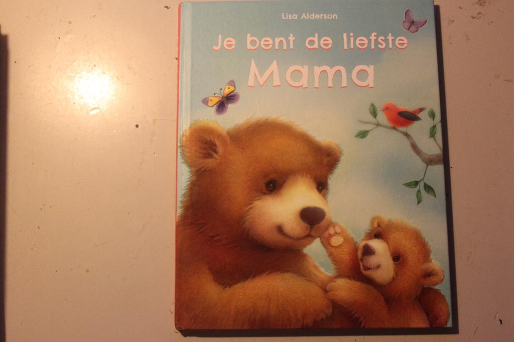 800j - boek - je bent de liefste mama - lisa anderson, Boeken, Ophalen of Verzenden, Gelezen, Fictie algemeen