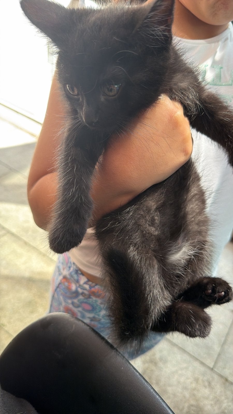 Kitten, Dieren en Toebehoren, Katten en Kittens | Overige Katten, Poes