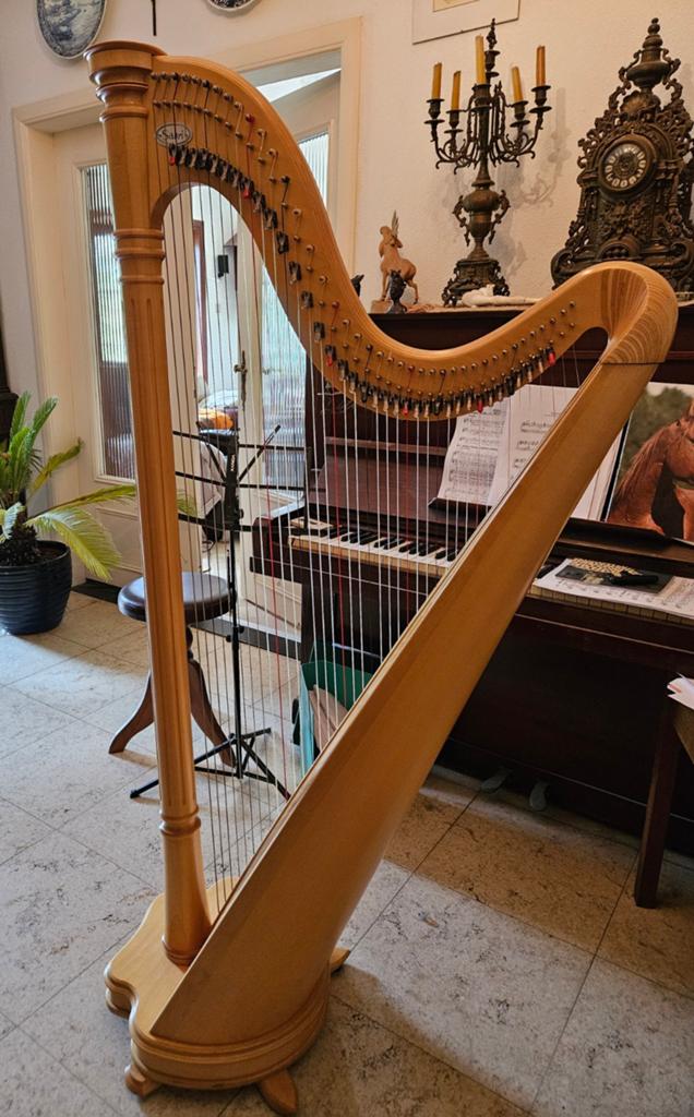Salvi Ana harp met 40 snaren goede staat, Ophalen of Verzenden, Zo goed als nieuw