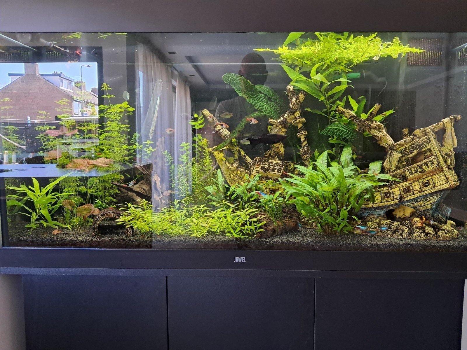Juwel rio 350, Ophalen, Zo goed als nieuw, Leeg aquarium