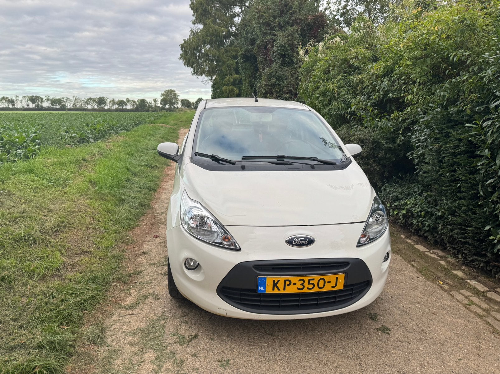 Ford Ka 1.2 69pk 2010 Wit, Auto's, Euro 5, Stof, 1242 cc, 4 cilinders