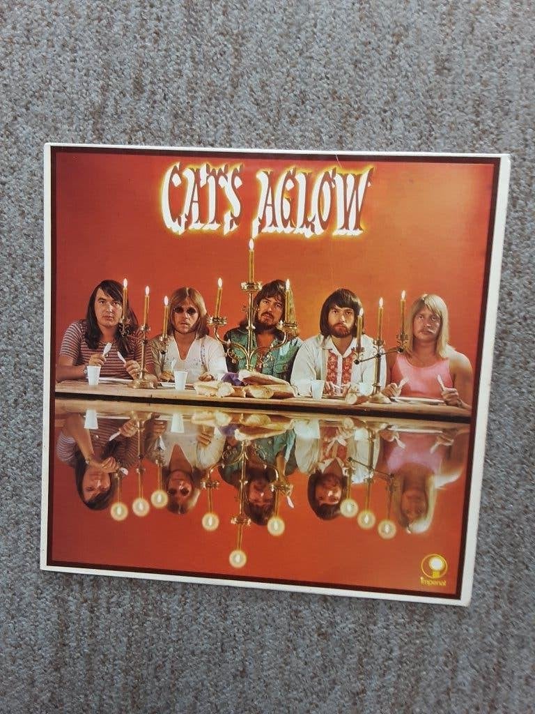 vinyl lp The Cats aglow, LP, Gebruikt, Ophalen of Verzenden, 12 inch