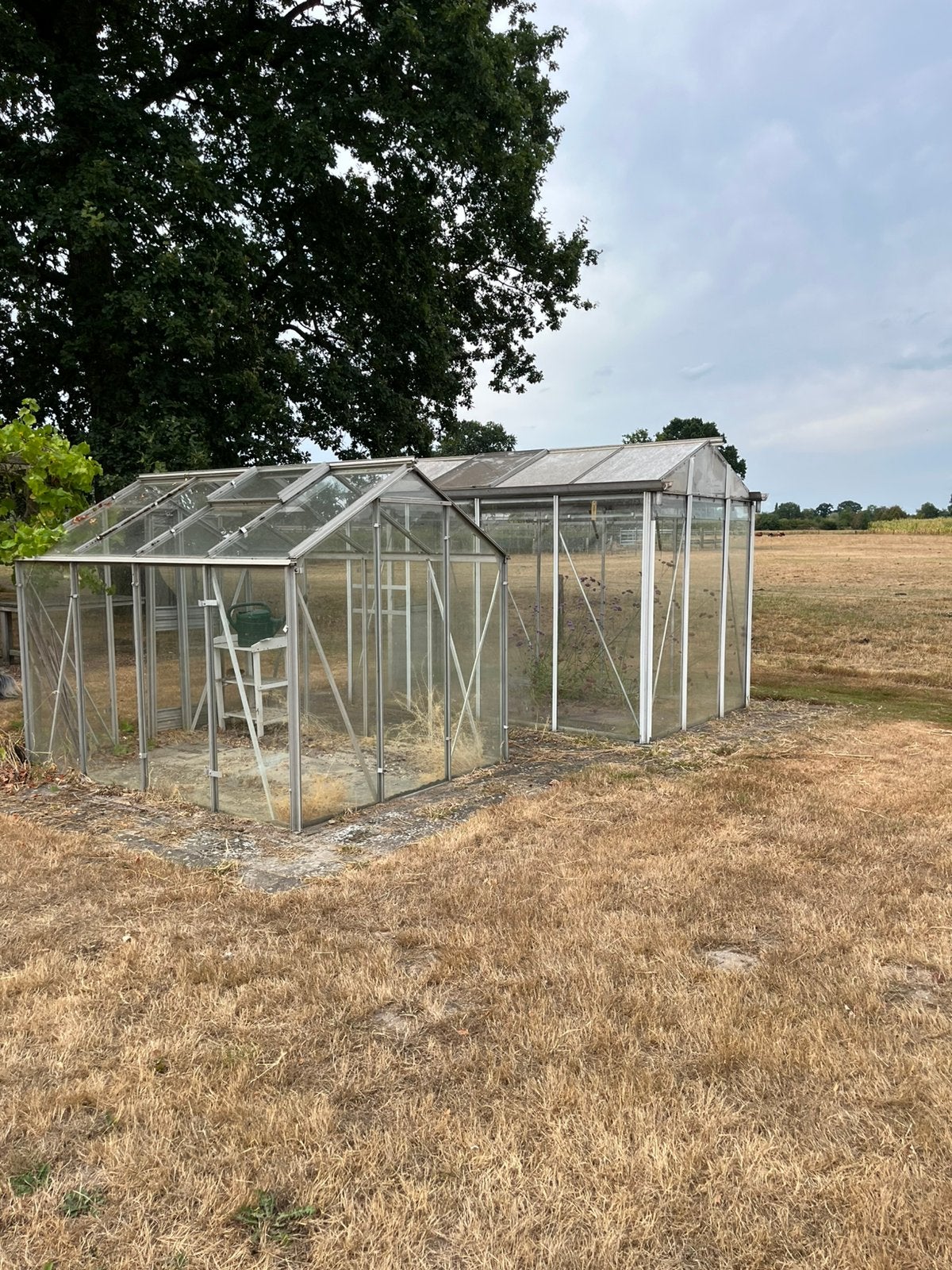 Tuinkas, Tuin en Terras, Kassen, Ophalen, Gebruikt, Kweekkas, Glas