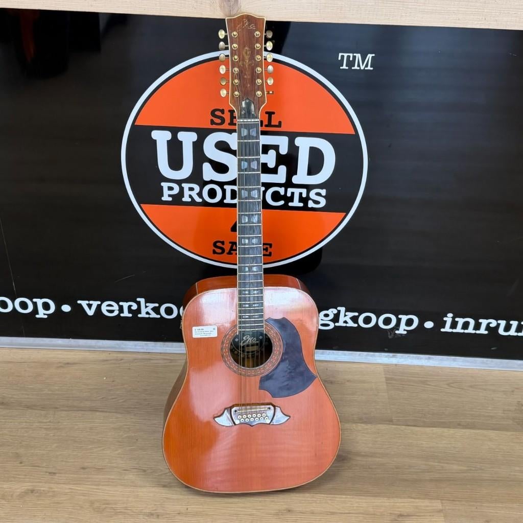 Eko 12 snarige Gitaar / Semi Akoestisch | Met garantie, Ophalen, Gebruikt, Dordrecht@usedproducts.nl, Toulonselaan 72