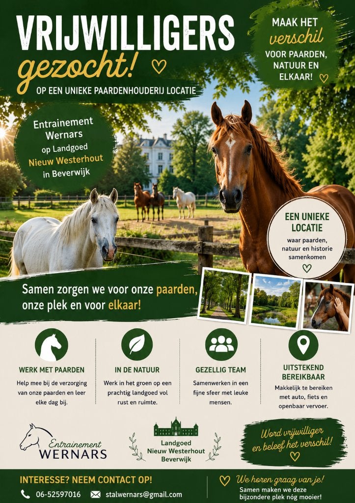 Vrijwilligers gezocht paardenhouderij in Beverwijk, Vacatures, Goede doelen en Vrijwilligerswerk, Starter, Overige vormen, Overige niveaus