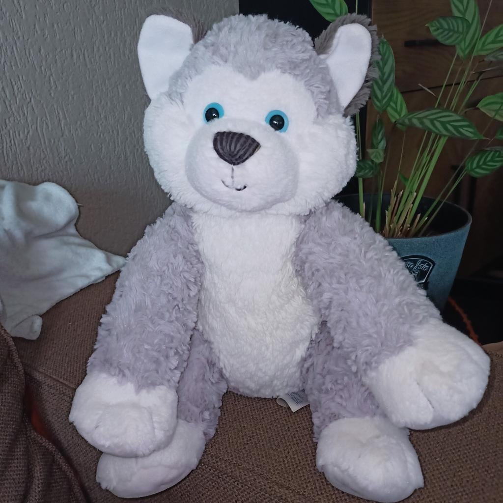 Build a bear, grijs witte husky., Kinderen en Baby's, Speelgoed | Knuffels en Pluche, Beer, Grijs, Ophalen of Verzenden, Zo goed als nieuw