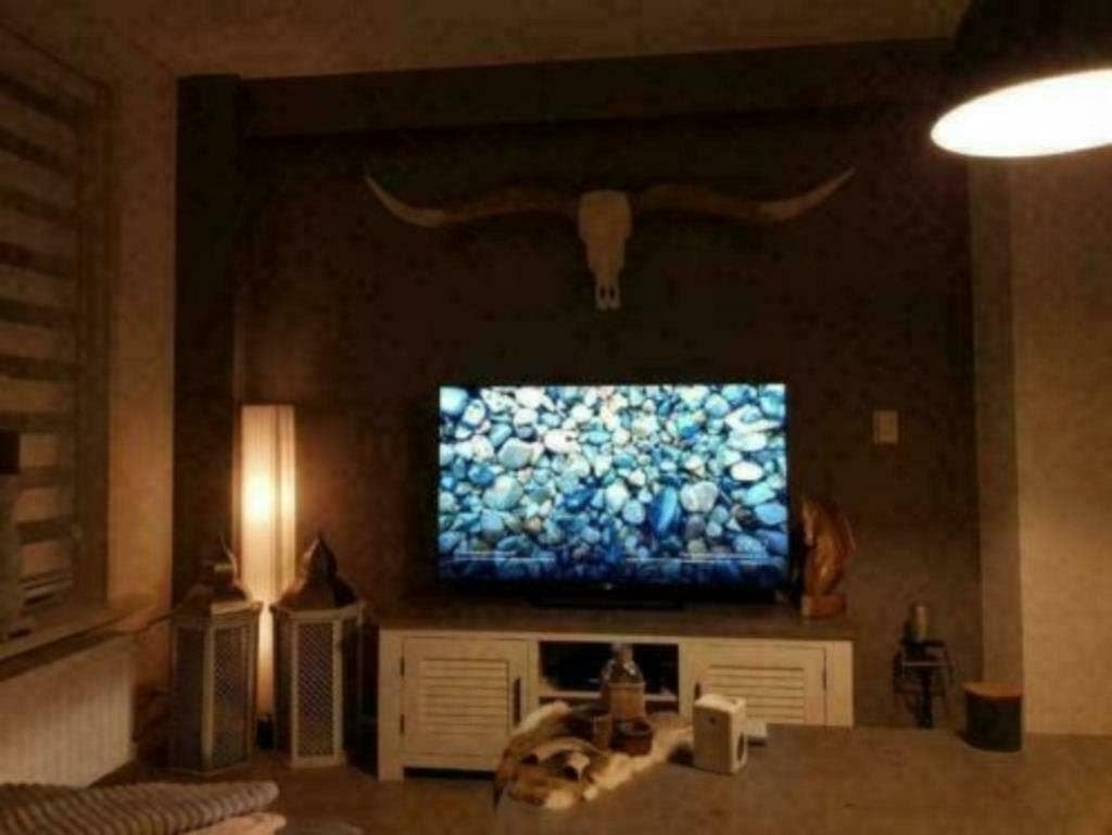 Longhorn skulls wit 1m70 breed , nergens goedkoper !!!!!, Ophalen of Verzenden, Nieuw
