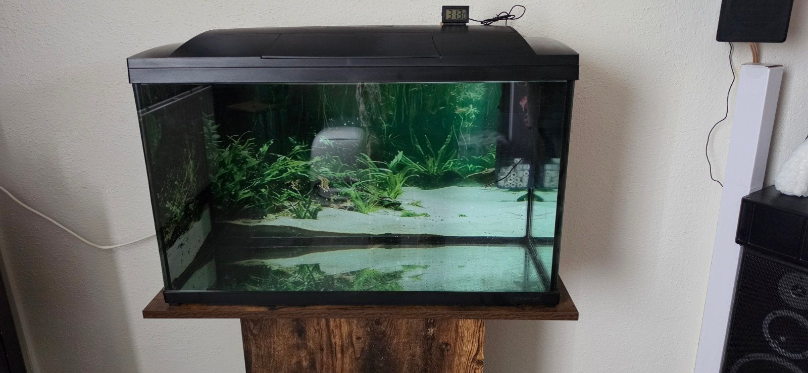 Superfish Start 100 Tropical Kit, Ophalen, Zo goed als nieuw, Leeg aquarium, Superfish