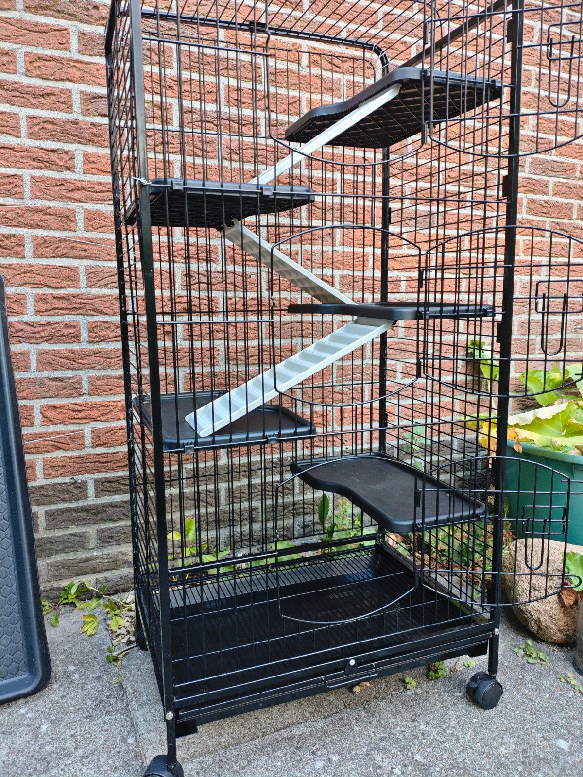 ruime knaagdieren kooi, Ophalen