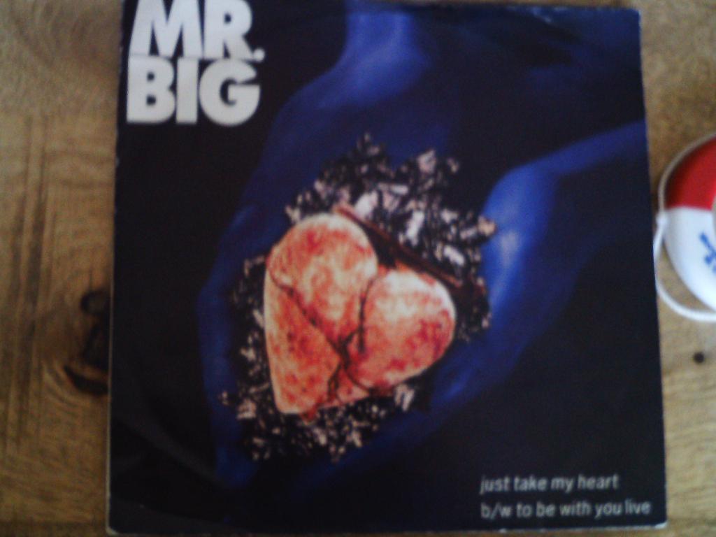 mr. big  --  just take my heart 24mei, 1990 - 1999, 7 inch, Single, Ophalen of Verzenden
