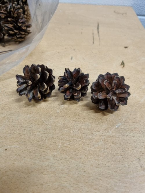 B222 dennenappels 30 stuks, Diversen, Kerst, Ophalen of Verzenden, 'T Olde Gre-j, Info@toldegrej.nl, Endepoelstraat 20f Didam