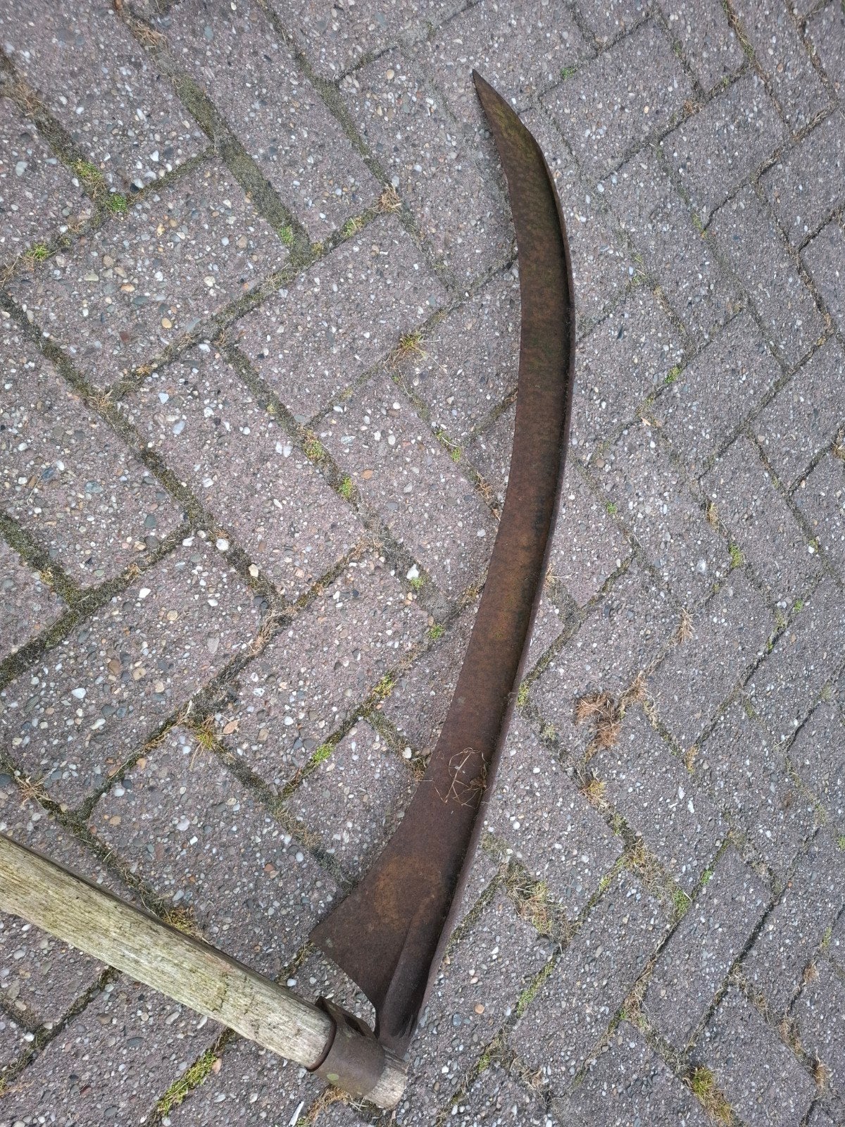 Oude Zeis zonder steel - Voor de liefhebber, Ophalen