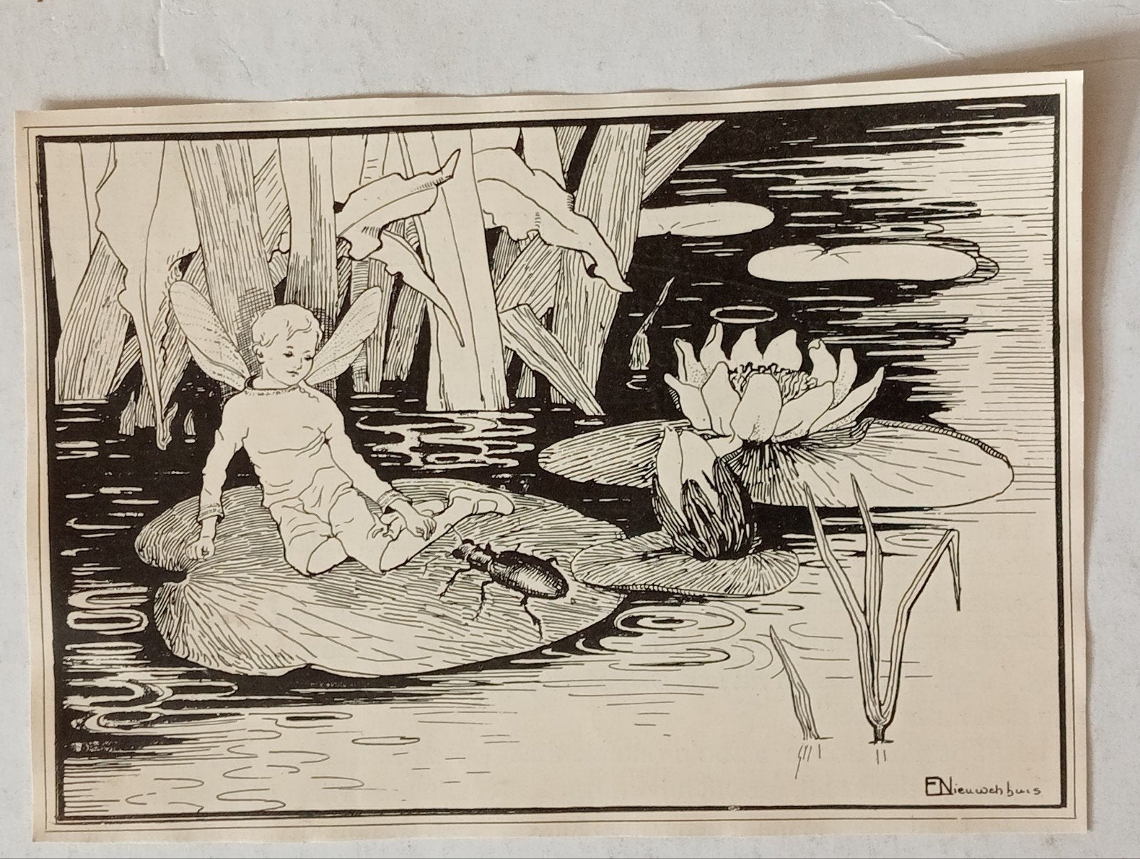 Ella Nieuwenhuis Boek Illustratie jaren 1910-30 Art Nouveau, Antiek en Kunst, Ophalen of Verzenden