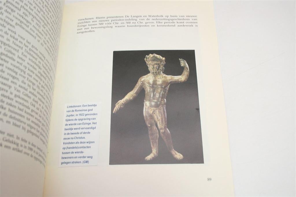 De Wierde van Ezinge op de Schop — Archeologie van een Terp, Boeken, Ophalen of Verzenden, Gelezen
