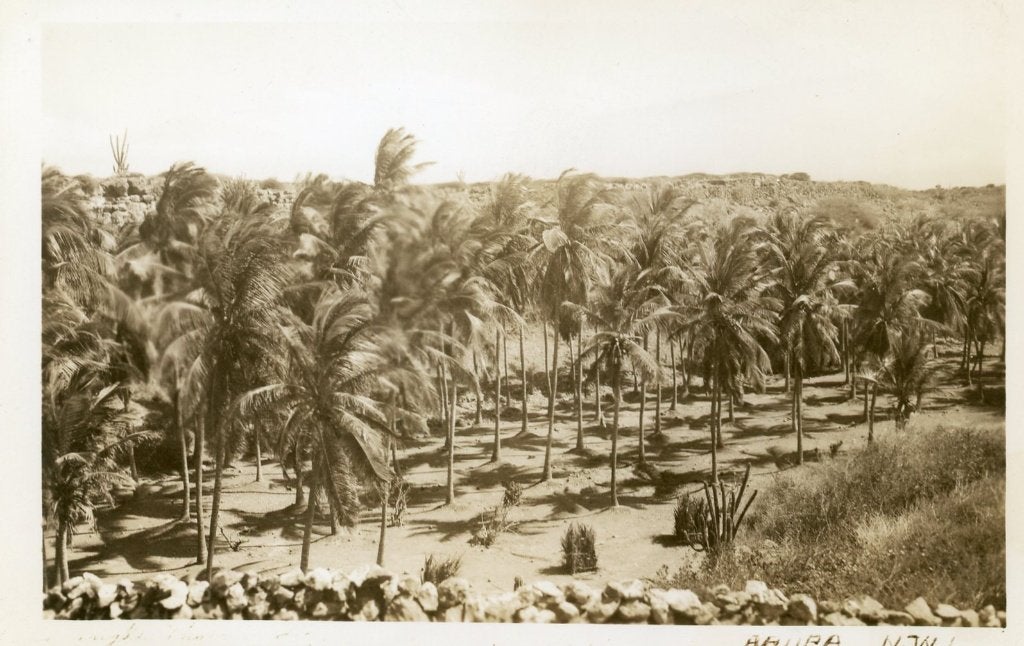 Aruba, Plantage 1940s, Verzamelen, Verzenden, 1920 tot 1940, Ongelopen, Buiten Europa