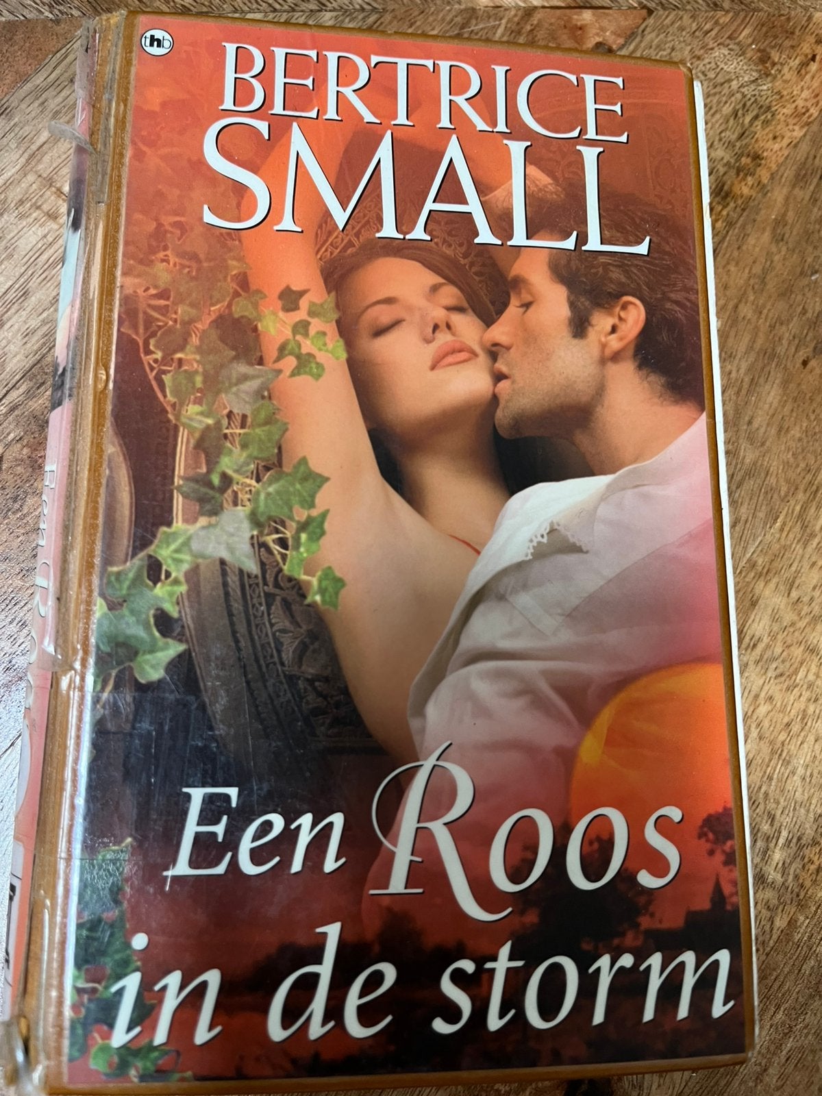 Bertrice Small - Een Roos in de storm, Ophalen of Verzenden, Gelezen