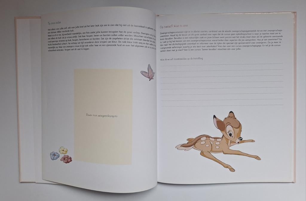 Bambi negen maanden boek.
Nieuw, Gevondenengemaakt@gmail.com, Disney, Nieuw, Ophalen of Verzenden