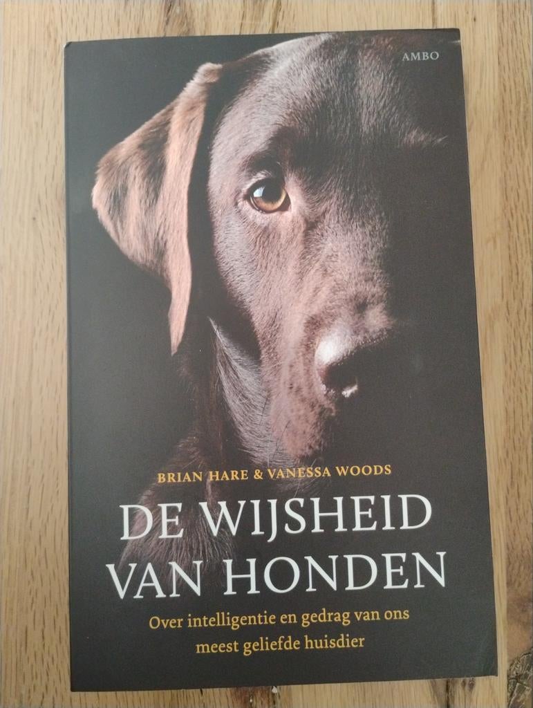 De Wijsheid van Honden - Brian Hare & Vanessa Woods, Brian Hare & Vanessa Woods, Honden, Ophalen of Verzenden, Zo goed als nieuw