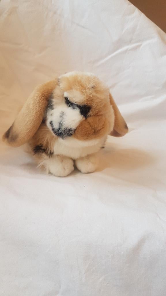 Knuffel konijn, Ophalen, Overige merken, Overige karakters, Konijn