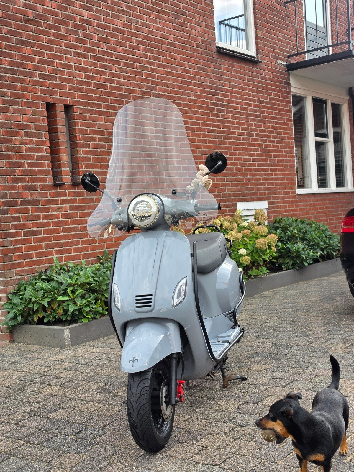 AGM VX50 Scooter, Ophalen, Gebruikt, Overige modellen, Maximaal 45 km/u