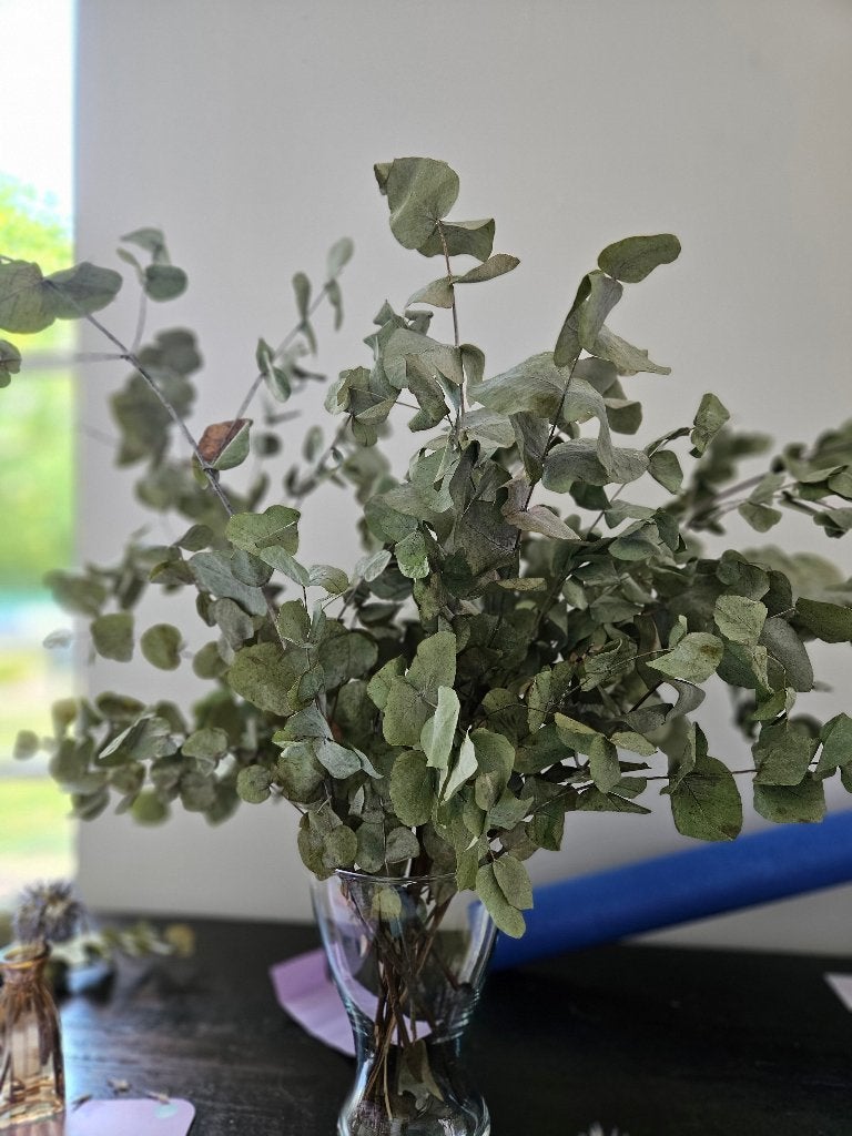Droogbloemen, Ophalen, Zo goed als nieuw