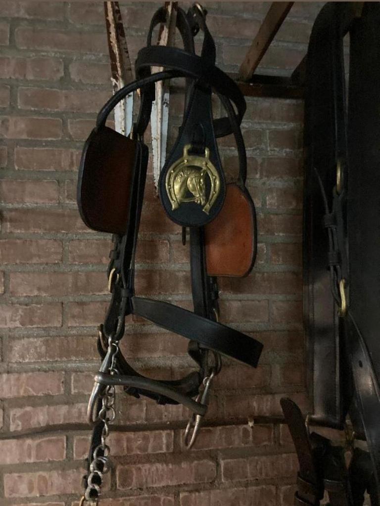 Tuig Belgisch trekpaard, Dieren en Toebehoren, Paarden en Pony's | Hoofdstellen en Tuigage, Ophalen