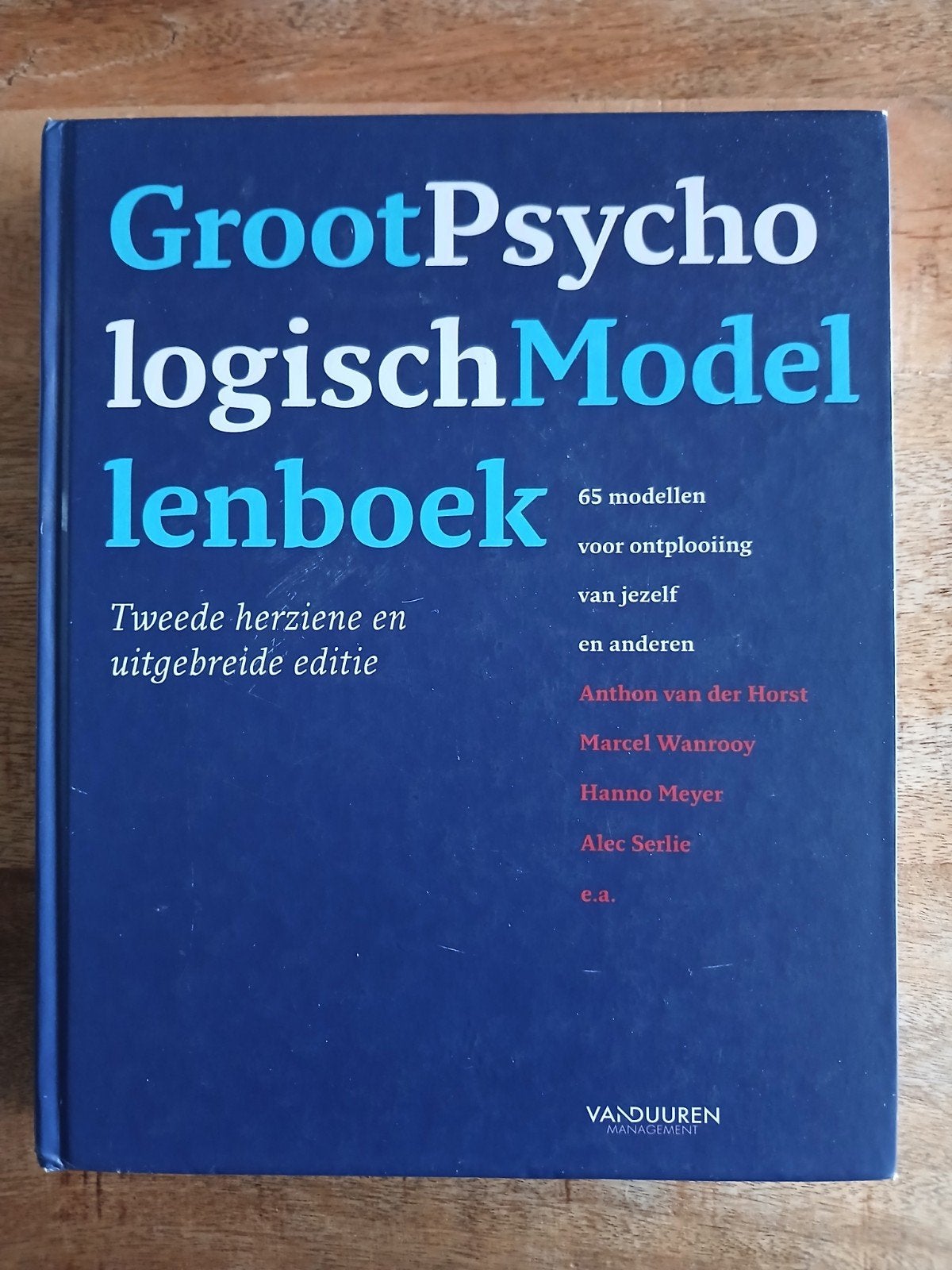 Marcel Wanrooy - Groot psychologisch modellenboek, Boeken, Verzenden, Sociale wetenschap, Marcel Wanrooy; Hanno Meyer; Alec Serlie; Anton van der Horst