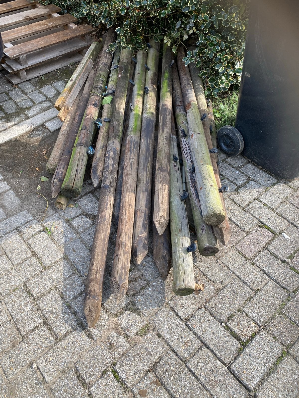 Gratis af te halen: Gebruikte weidepalen, nog goed bruikbaar, Tuin en Terras, Ophalen, Gebruikt, 180 tot 250 cm, Palen