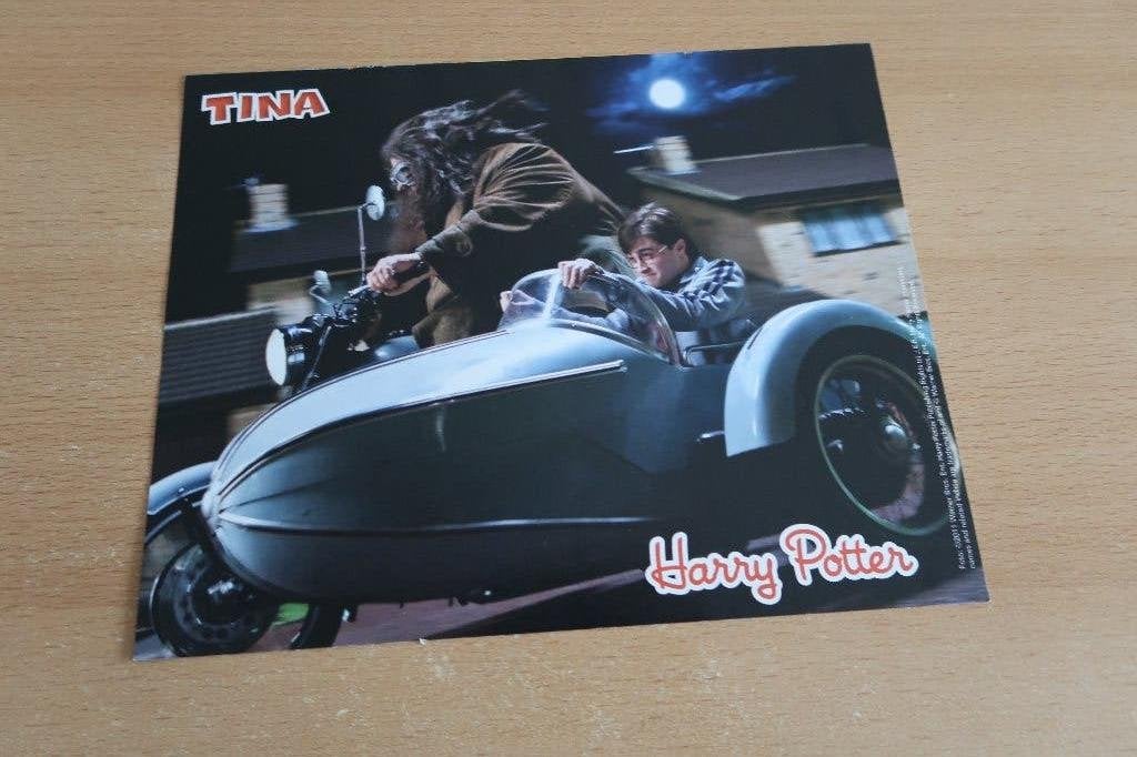 Harry Potter poster, Ophalen of Verzenden, Nieuw, Boek of Poster