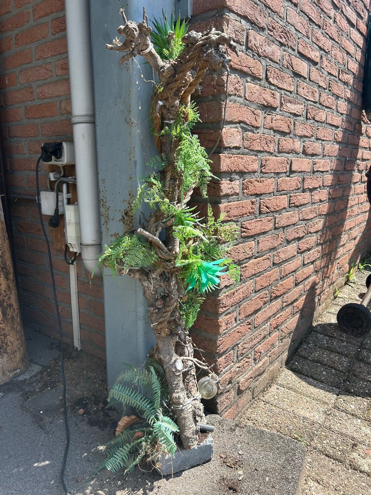 Decoratie tak, Ophalen, Gebruikt