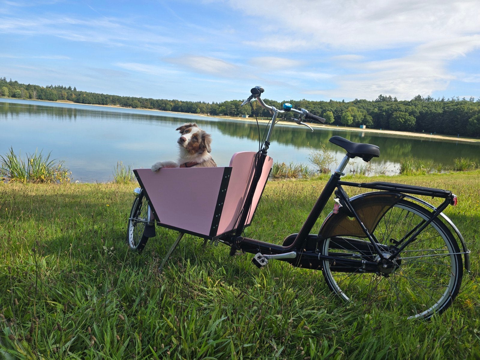 Leuke gebruikte bakfiets met nieuwe bak, Ophalen, Gebruikt, Goederen