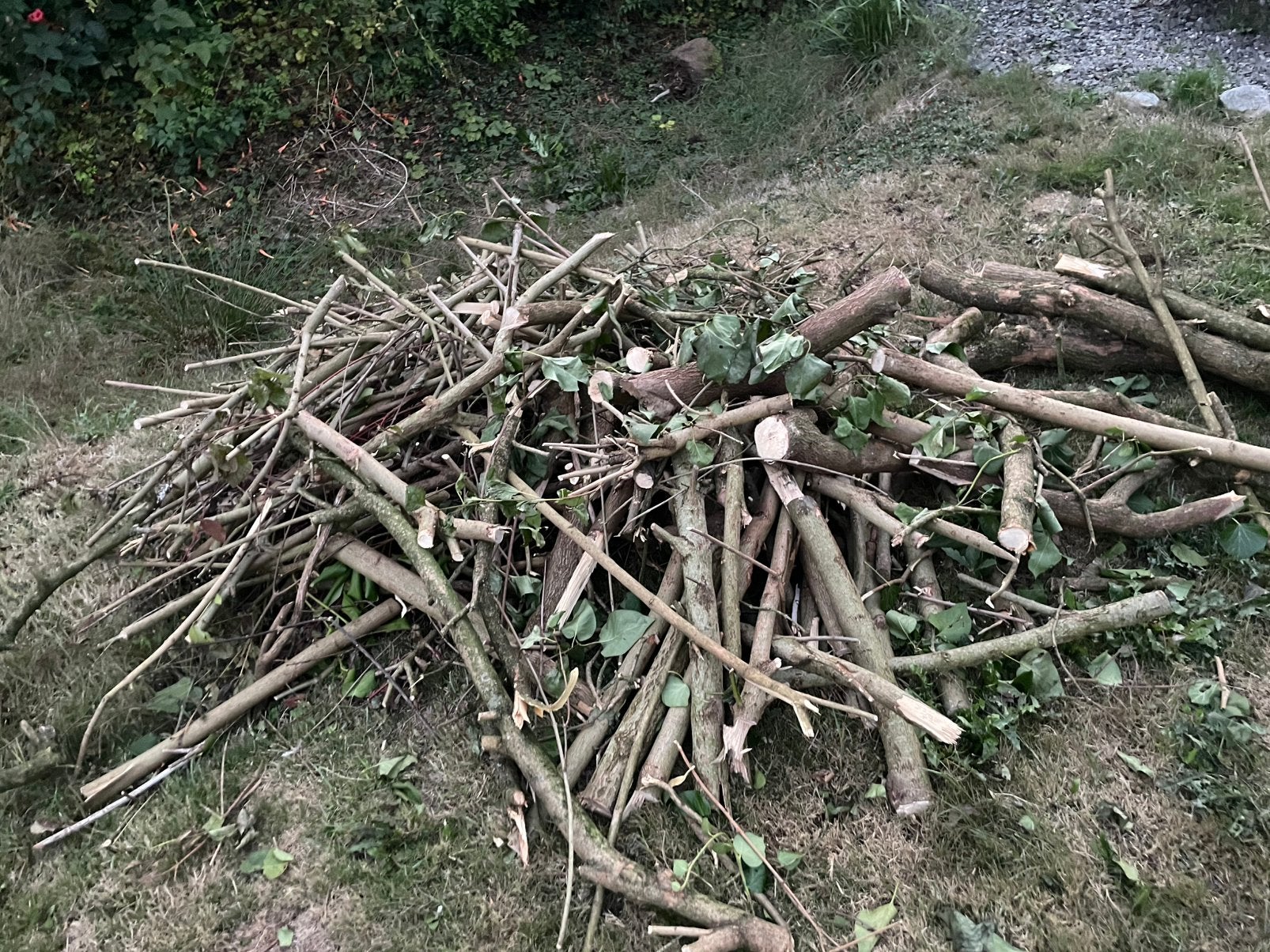 Snoeihout., Tuin en Terras, Haardhout, Ophalen, Overige houtsoorten, Stammen
