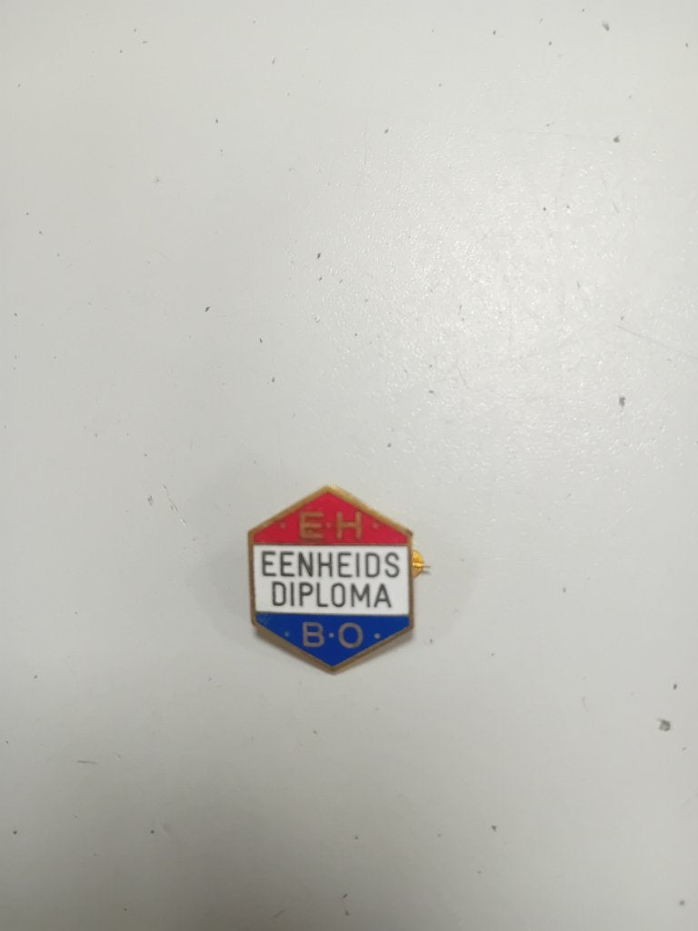 EHBO eenheids diploma speldje, Ophalen, Gebruikt, Overige onderwerpen, Speldje of Pin