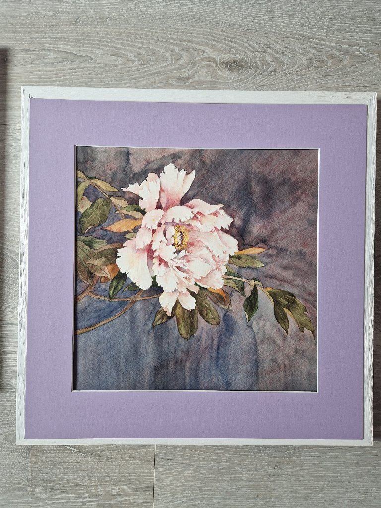 Handgeschilderde aquarel in – roze pioenroos – 40x40 cm, Antiek en Kunst, Ophalen, Aquarel, Passe-partout, Papier/karton