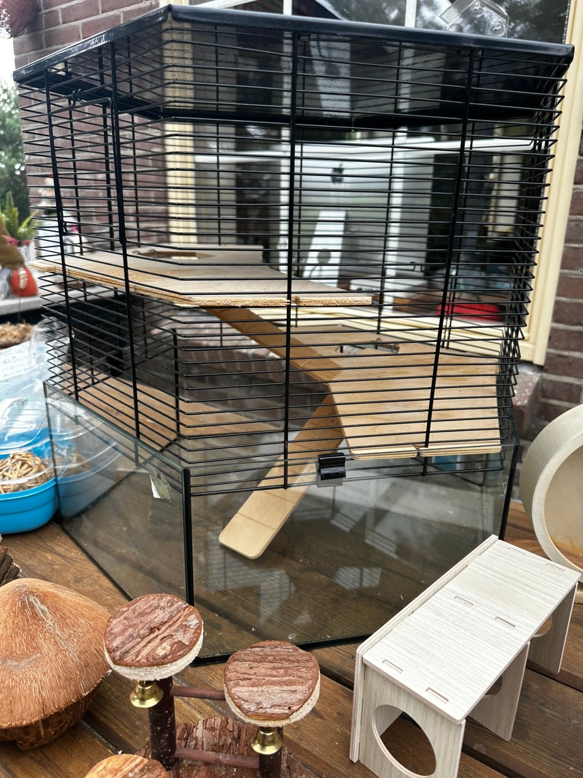 Hansterkooi glas / hout / helemaal compleet :), Dieren en Toebehoren, Kooi, Minder dan 75 cm, Zo goed als nieuw, Hamster