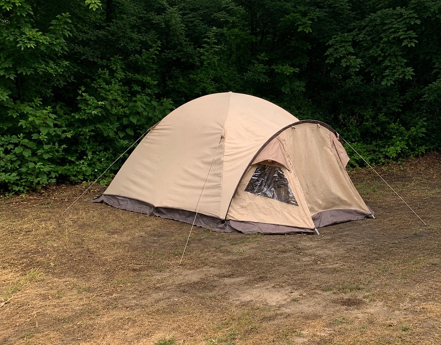 Bardani Cortina 180 koepeltent 2/3 persoons, Ophalen of Verzenden, Gebruikt, Tot en met 3