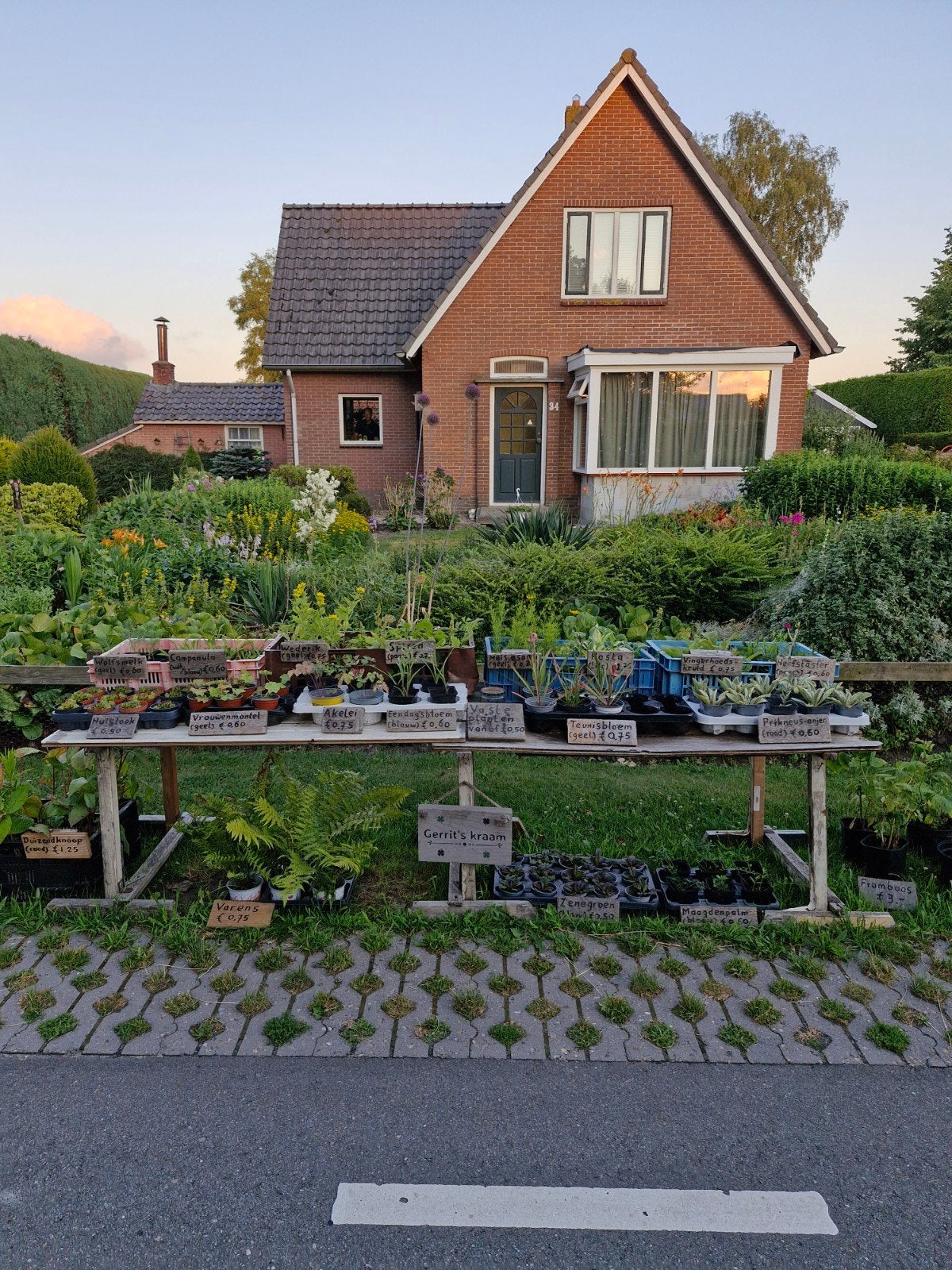 Diverse vaste planten op een kraam, Tuin en Terras, Ophalen, Volle zon, Vaste plant, Kruiden