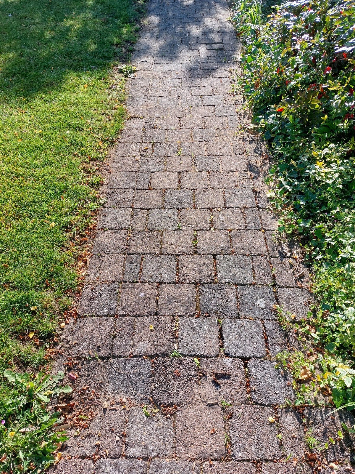 Gebruikte betonnen klinkers voor tuinpad of terras, Ophalen, Gebruikt, Klinkers, Minder dan 5 m²