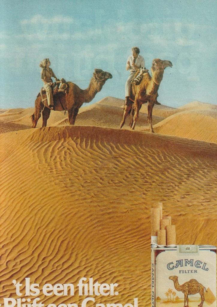 Retro reclame 1978 Camel sigaretten op de kamelen, Verzamelen, Verzenden, Overige typen