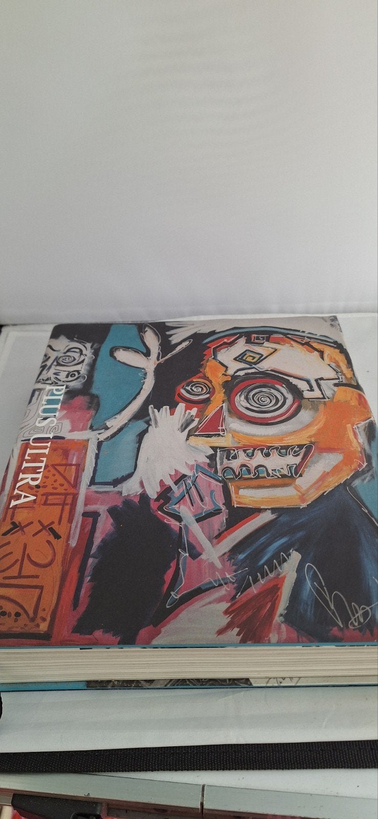 Peter Riezebos - Plus Ultra Kunstboek, Ophalen of Verzenden, Zo goed als nieuw, Schilder- en Tekenkunst, Peter Riezebos