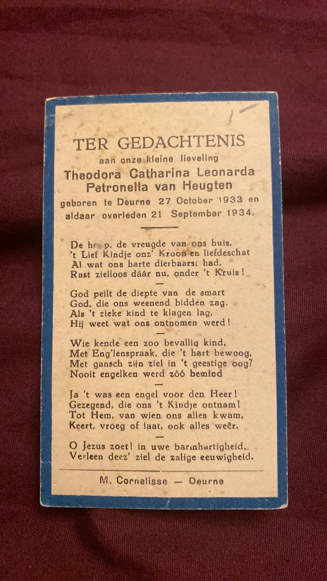 1-jarige TCLP van Heugten 1933 Deurne 1934, Ophalen of Verzenden
