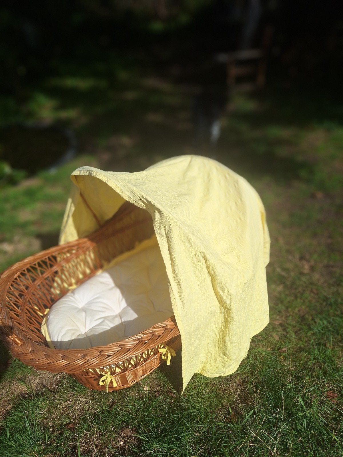rieten wieg, met bekleding en 2 matrasjes, Ophalen, Zo goed als nieuw, Wieg