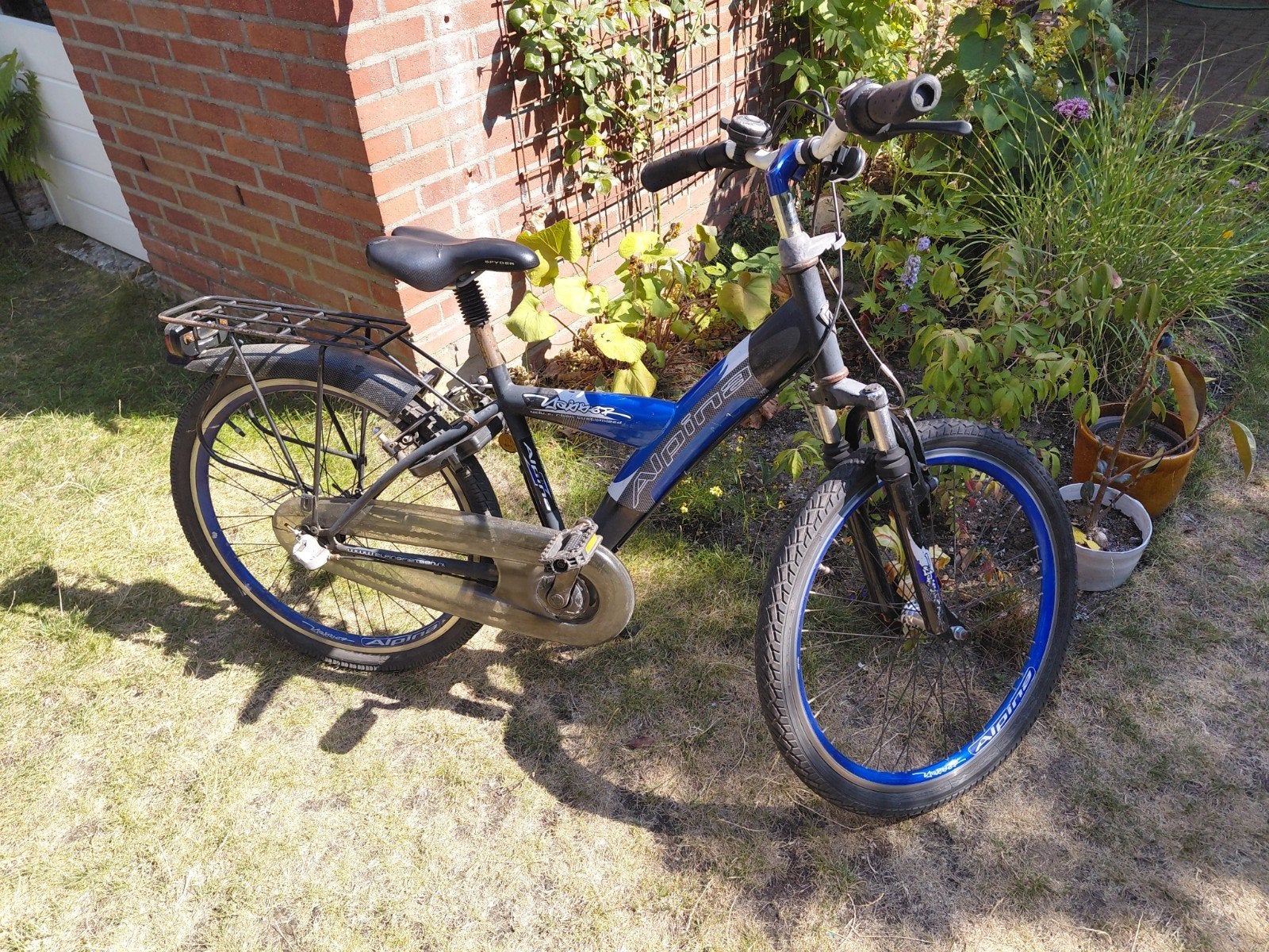 Alpina Yabber 24", Ophalen, Velgrem, Alpina  yabber, Handrem