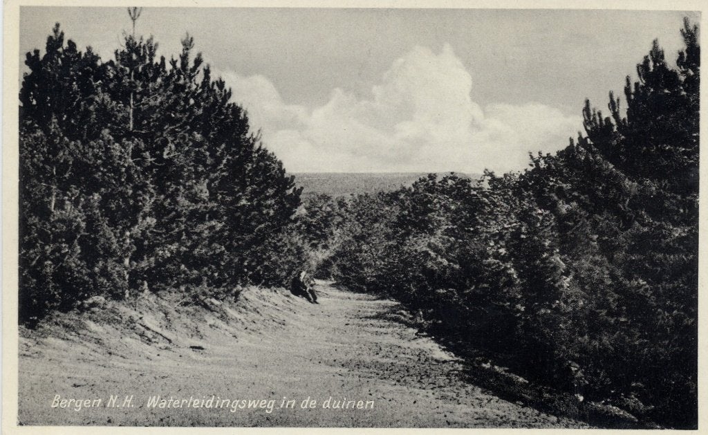Bergen NH. Waterleiding weg, Verzenden, 1920 tot 1940, Gelopen, Noord-Holland