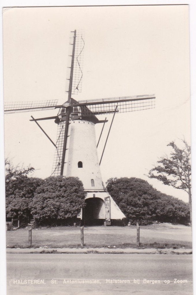 Halsteren St. Antoniusmolen 1972., Ophalen, 1940 tot 1960, Ongelopen, Noord-Brabant