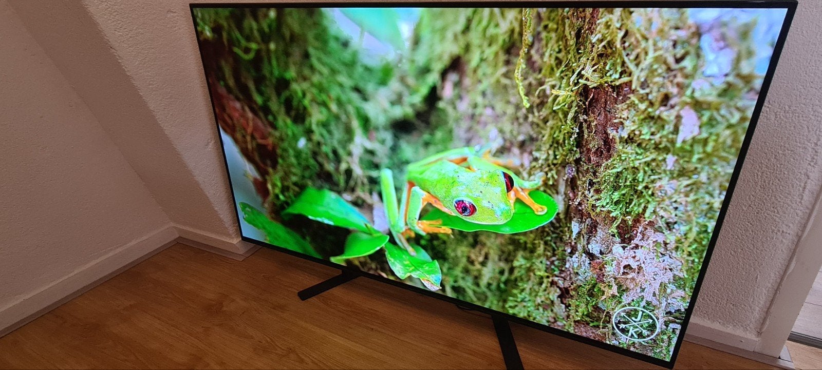 Sony KD-55AG8 – 55″ 4K OLED Android Smart TV – 100Hz HDR10, Ophalen, OLED, Zo goed als nieuw, 100 Hz