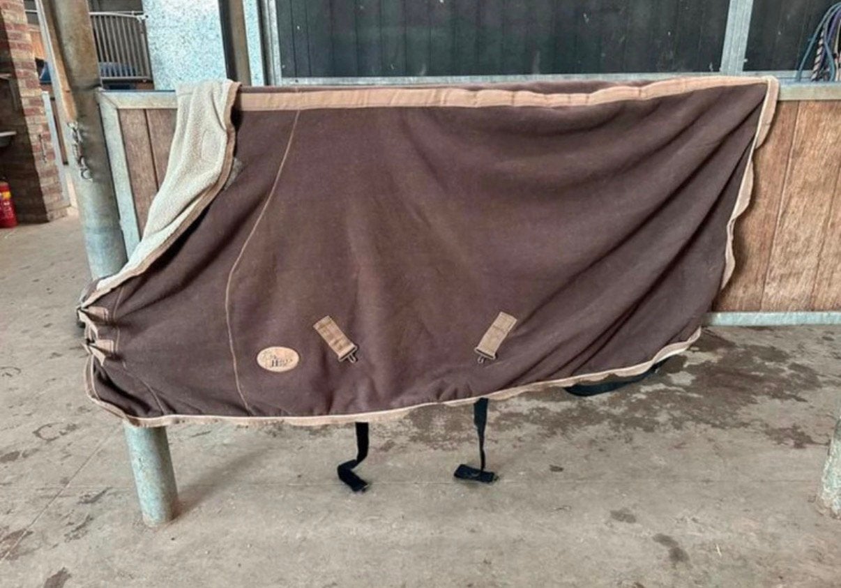 Harry’s horse teddy zweetdeken, Dieren en Toebehoren, Ophalen of Verzenden, Gebruikt
