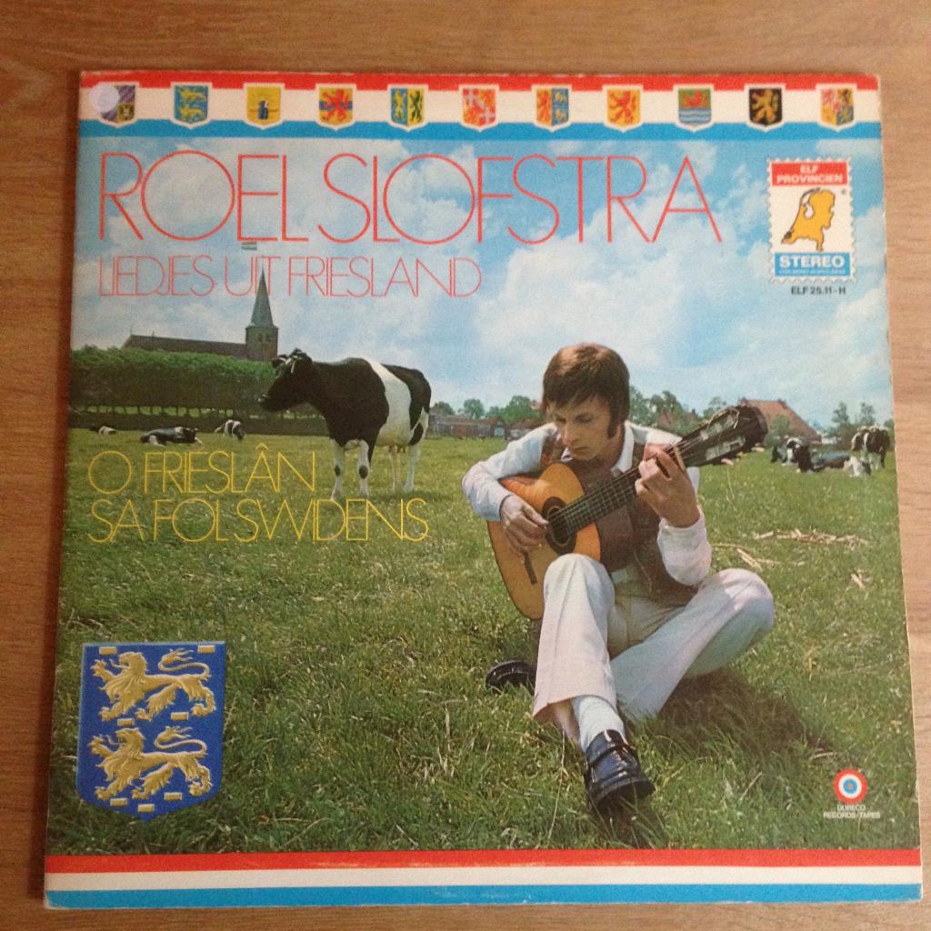 Roel Slofstra - Liedjes uit Friesland LP, Ophalen, Gebruikt, 12 inch, Overige genres