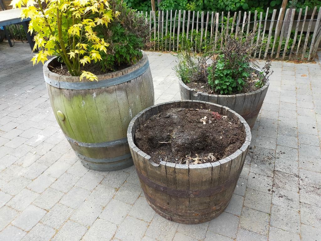 Wijnvaten, Ophalen, Gebruikt, Rond, 60 tot 100 cm