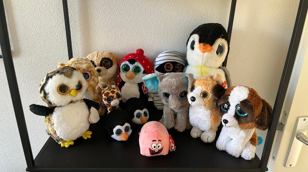 Diverse TY knuffels groten ogen, Ophalen of Verzenden, Zo goed als nieuw, Overige typen